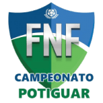 https://media.api-sports.io/football/leagues/1139.png