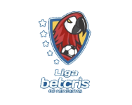 https://media.api-sports.io/football/leagues/234.png