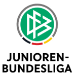 https://media.api-sports.io/football/leagues/488.png