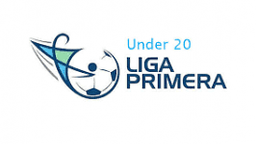 https://media.api-sports.io/football/leagues/565.png