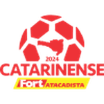 https://media.api-sports.io/football/leagues/604.png
