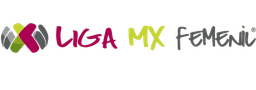 https://media.api-sports.io/football/leagues/673.png