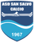 Salvo