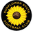 Sunflower State