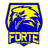 Forte FC
