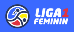 https://media.api-sports.io/football/leagues/728.png